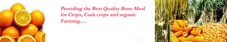 Travel to India, India vacations and Holiday Mridul Manure Mills Pvt. Ltd.